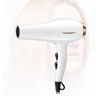 wholesale sales high dc motor automatic take-up professional electric hair dryer