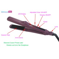 Nano Fiber professional Hair Straightener Vibration hair straightener Ionic flat iron